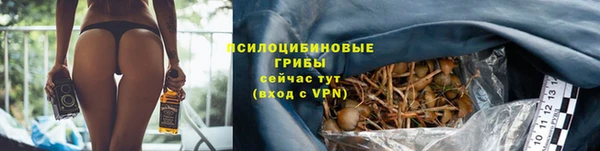 прущий лед Няндома