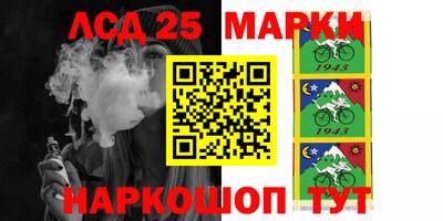 бошки Гатчина