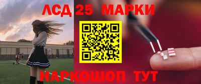 бошки Гатчина