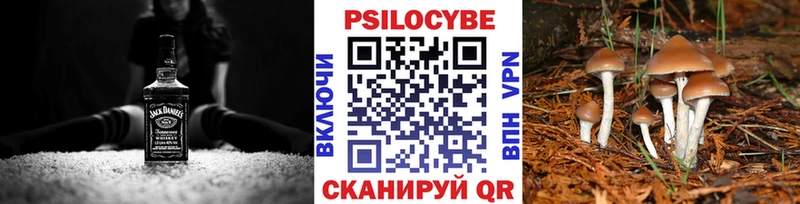 Галлюциногенные грибы Cubensis  что такое   blacksprut рабочий сайт  Нефтекумск 