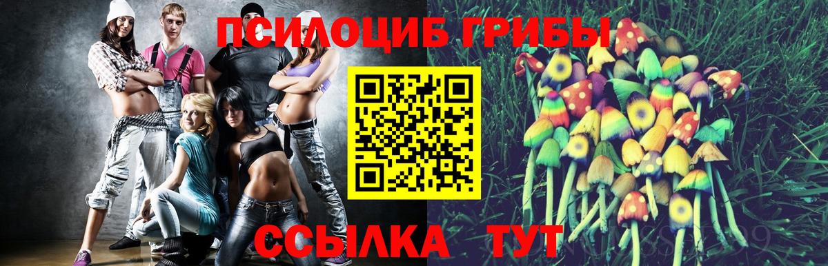 как найти наркотики  Вход с VPN  Псилоцибиновые грибы мицелий  Нефтекумск  Псилоцибиновые грибы Cubensis 